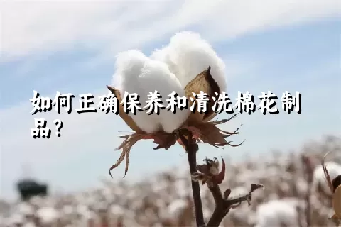 如何正确保养和清洗棉花制品？