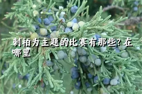 刺柏为主题的比赛有那些？在哪里