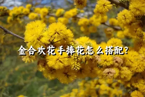 金合欢花手捧花怎么搭配？