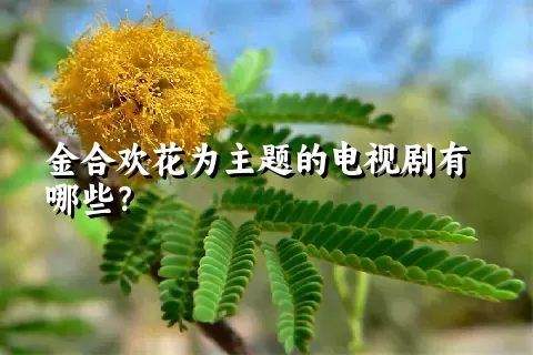 金合欢花为主题的电视剧有哪些？