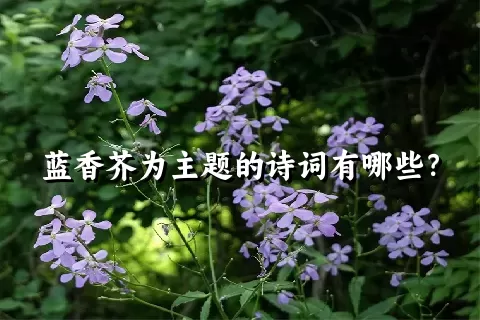 蓝香芥为主题的诗词有哪些？