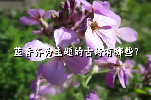 蓝香芥为主题的古诗有哪些？