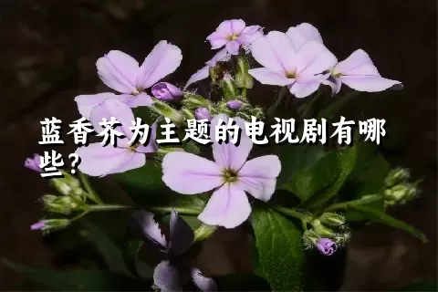 蓝香芥为主题的电视剧有哪些？