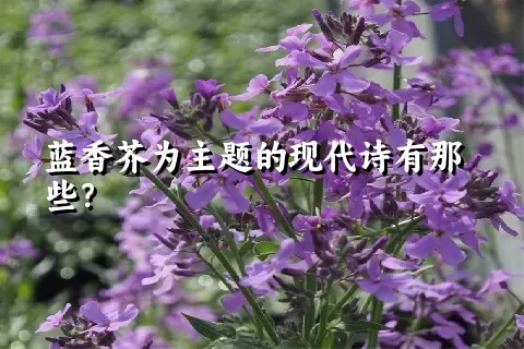 蓝香芥为主题的现代诗有那些？