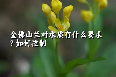 金佛山兰对水质有什么要求？如何控制