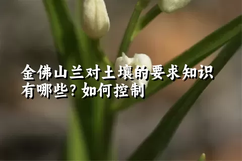 金佛山兰对土壤的要求知识有哪些？如何控制