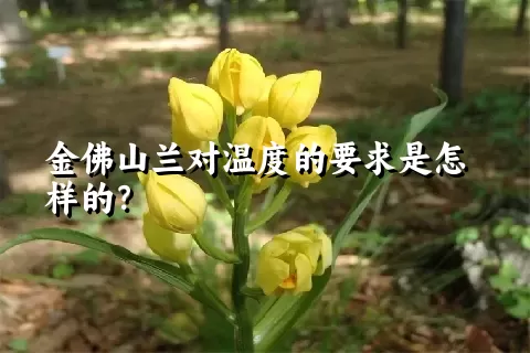 金佛山兰对温度的要求是怎样的？