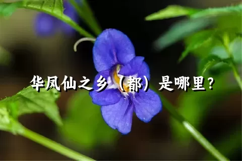 华凤仙之乡（都）是哪里？