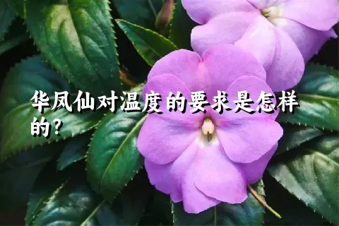 华凤仙对温度的要求是怎样的？