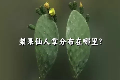 梨果仙人掌分布在哪里?