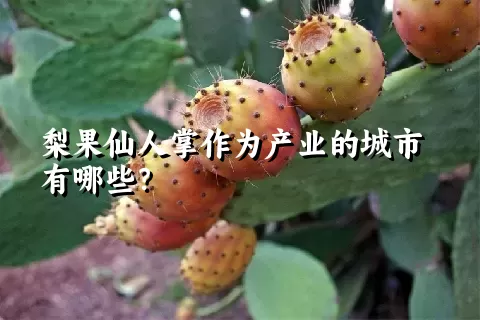 梨果仙人掌作为产业的城市有哪些？