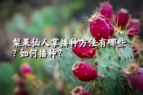 梨果仙人掌播种方法有哪些？如何播种？