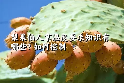 梨果仙人掌温度要求知识有哪些？如何控制