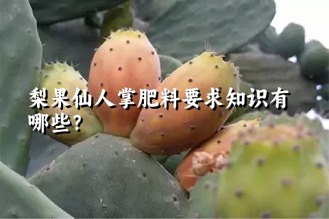 梨果仙人掌肥料要求知识有哪些？