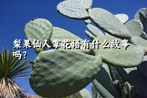 梨果仙人掌花语有什么故事吗？