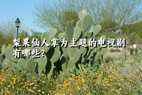 梨果仙人掌为主题的电视剧有哪些？