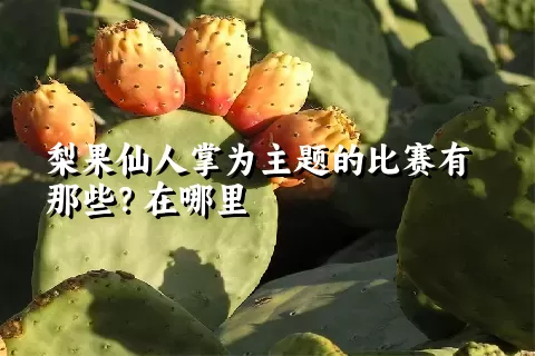 梨果仙人掌为主题的比赛有那些？在哪里