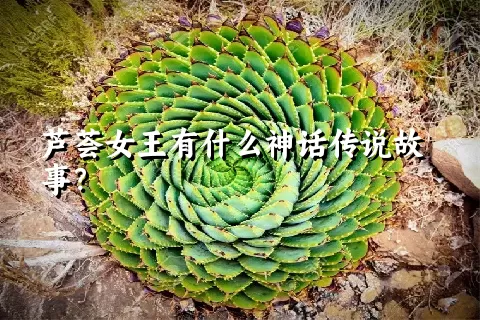 芦荟女王有什么神话传说故事？