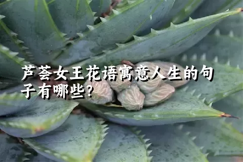 芦荟女王花语寓意人生的句子有哪些？