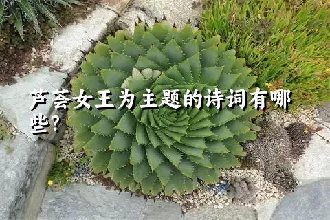 芦荟女王为主题的诗词有哪些？