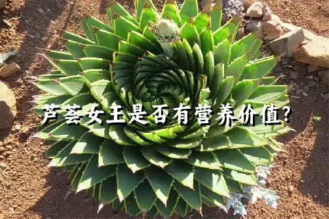 芦荟女王是否有营养价值？