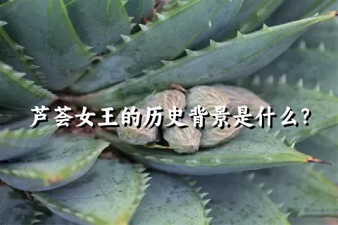 芦荟女王的历史背景是什么？