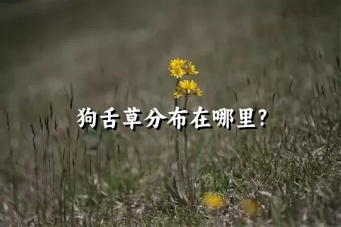 狗舌草分布在哪里?