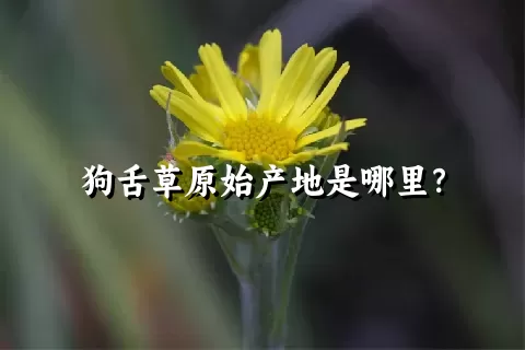 狗舌草原始产地是哪里？