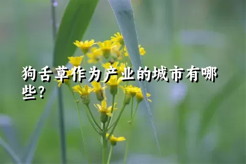 狗舌草作为产业的城市有哪些？