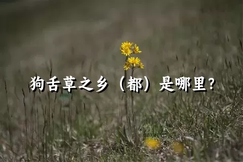 狗舌草之乡（都）是哪里？