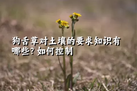 狗舌草对土壤的要求知识有哪些？如何控制