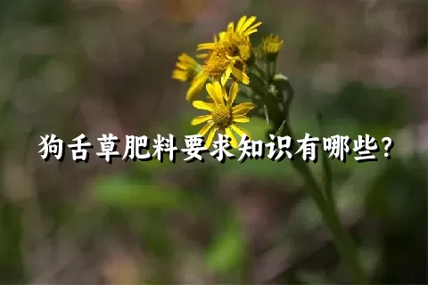 狗舌草肥料要求知识有哪些？