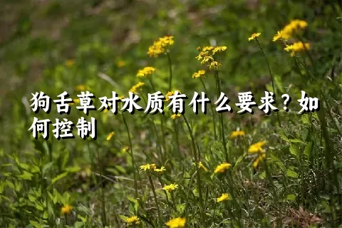 狗舌草对水质有什么要求？如何控制