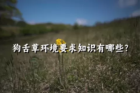 狗舌草环境要求知识有哪些？