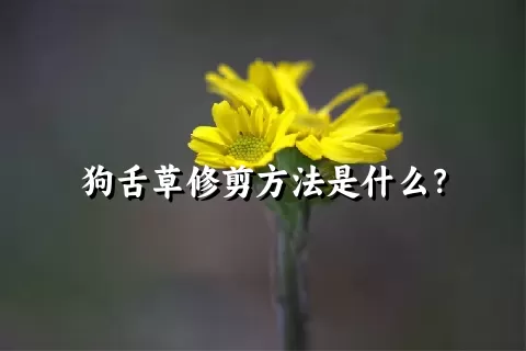 狗舌草修剪方法是什么？