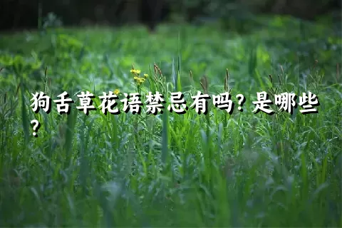 狗舌草花语禁忌有吗？是哪些？