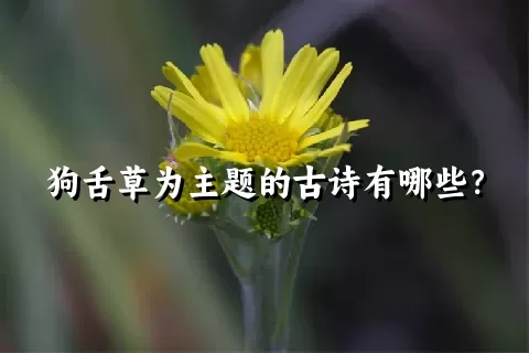 狗舌草为主题的古诗有哪些？