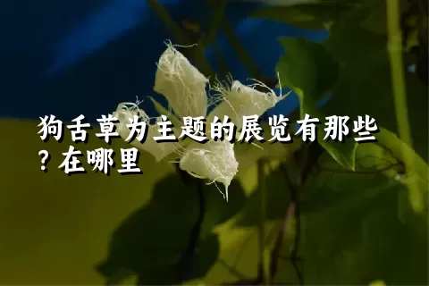 狗舌草为主题的展览有那些？在哪里