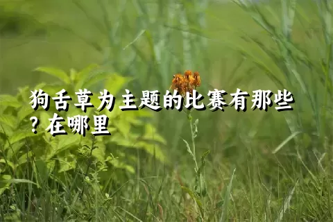 狗舌草为主题的比赛有那些？在哪里