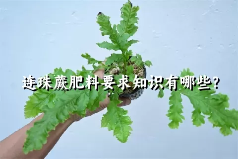 连珠蕨肥料要求知识有哪些？