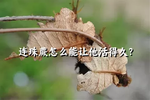 连珠蕨怎么能让他活得久？