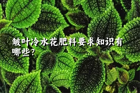 皱叶冷水花肥料要求知识有哪些？