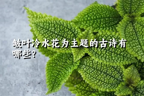 皱叶冷水花为主题的古诗有哪些？