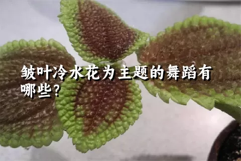 皱叶冷水花为主题的舞蹈有哪些？