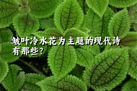 皱叶冷水花为主题的现代诗有那些？