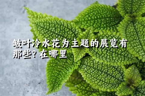 皱叶冷水花为主题的展览有那些？在哪里