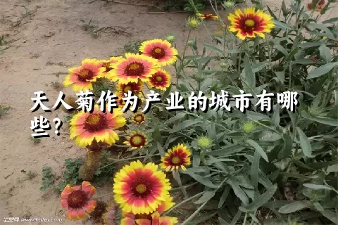 天人菊作为产业的城市有哪些？