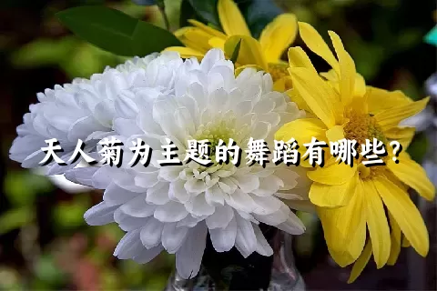 天人菊为主题的舞蹈有哪些？