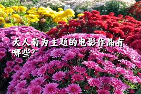 天人菊为主题的电影作品有哪些？