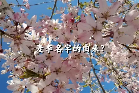 麦李名字的由来？